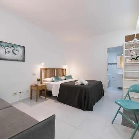 Mcd Roca Apartment *